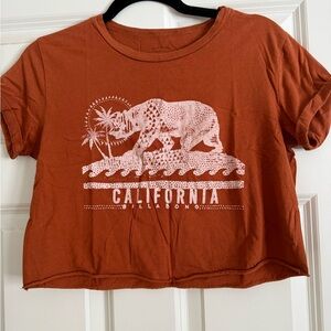 Billabong Rust Graphic Crop Tee